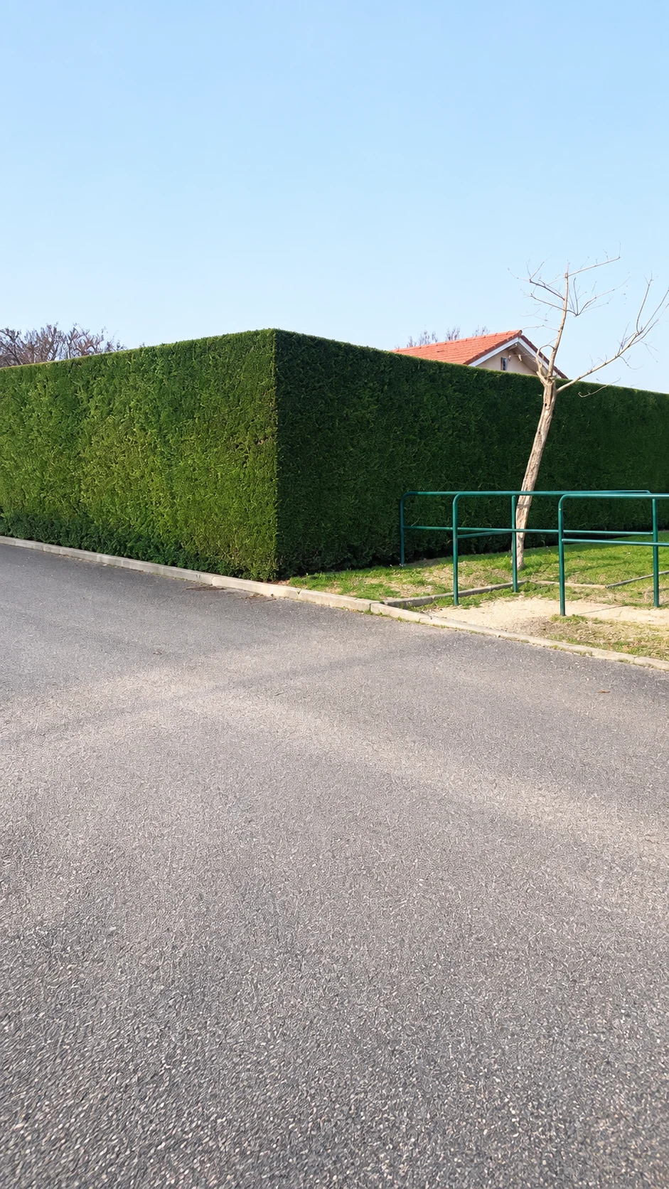 Grande haie taillée à plat, avec un angle net en bordure de rue.