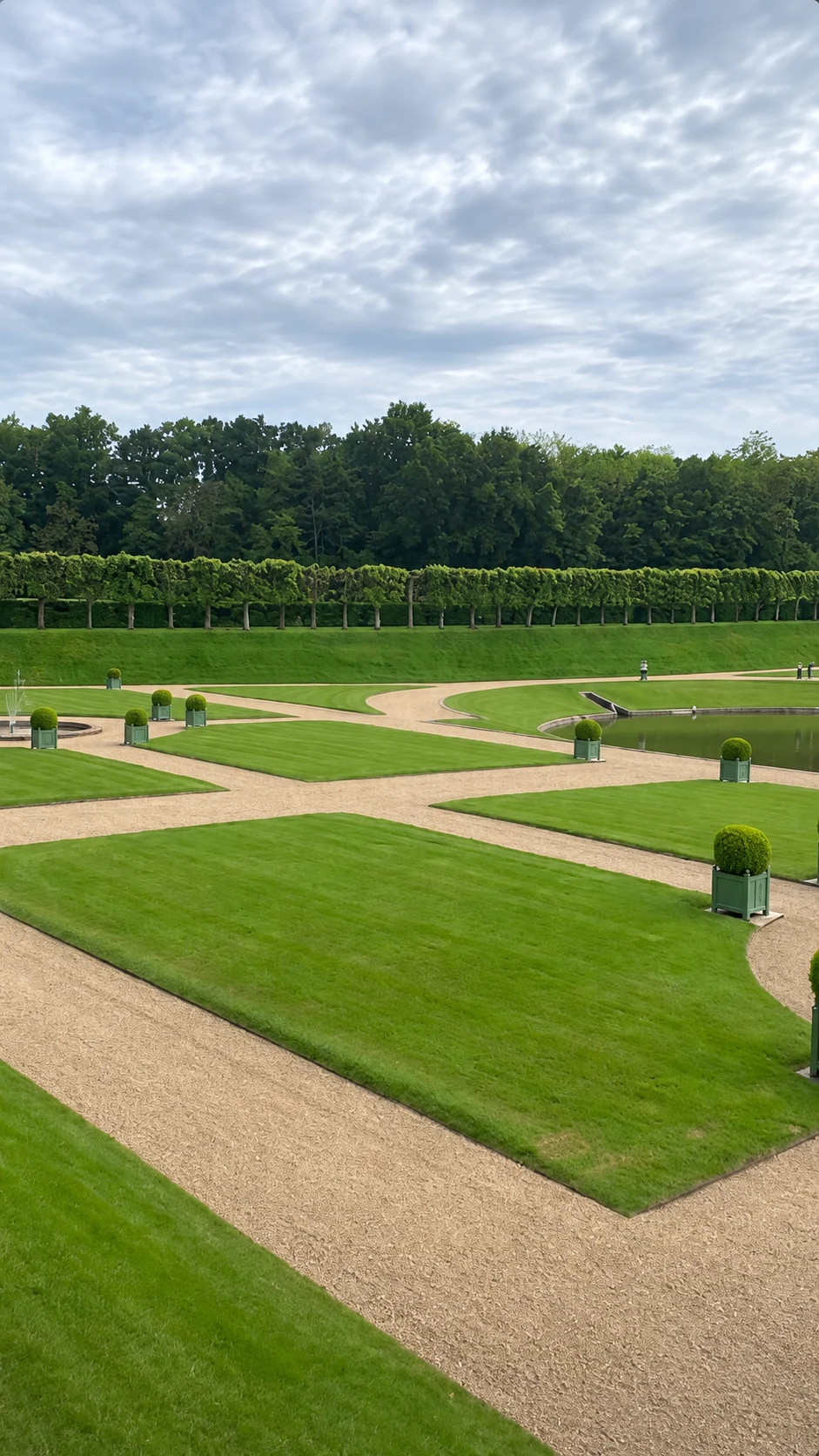 Pelouses dessinées entre les allées d’un jardin.
